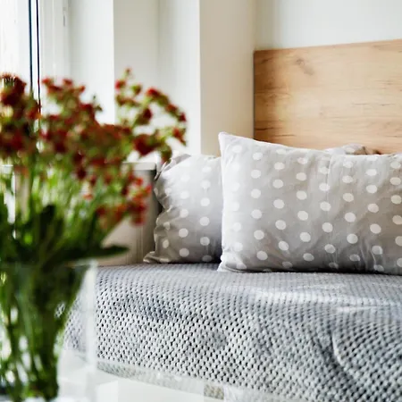 Apartamenty Galicja Zator Zator